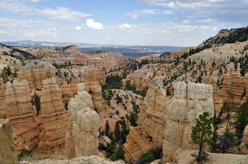 Rich colors can be seen among the varied hoodoos, walls, and fins